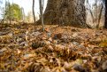 Фото: Алексей Сухушин
