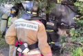 Фото: Скриншот видео ГУ МЧС России по Амурской области
