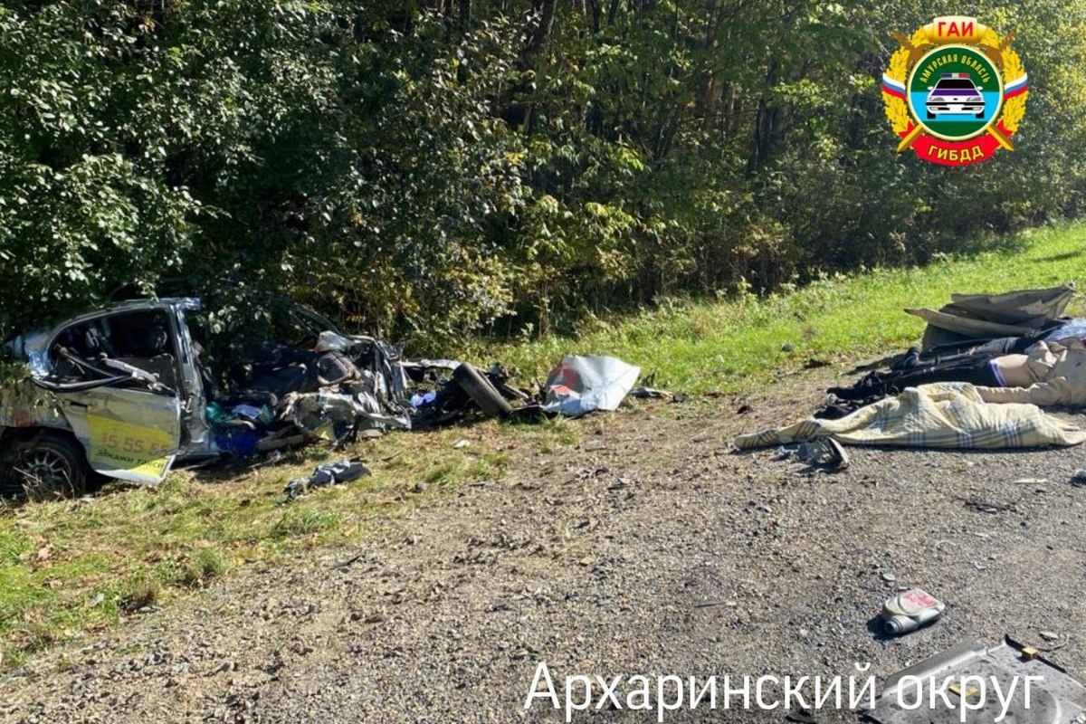 Фото: Госавтоинспекция Амурской области