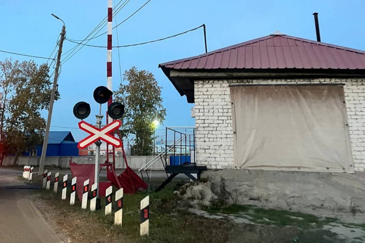 Фото: Администрация города Благовещенска