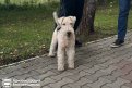 Фото: Администрация города Благовещенска