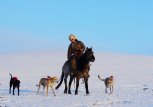 Писатель-анималист Хэй Хэ: «На литературное творчество меня вдохновила книга Бианки»