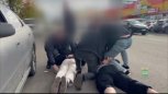 Вывезли на окраину города и требовали деньги: в Благовещенске задержана группа вымогателей