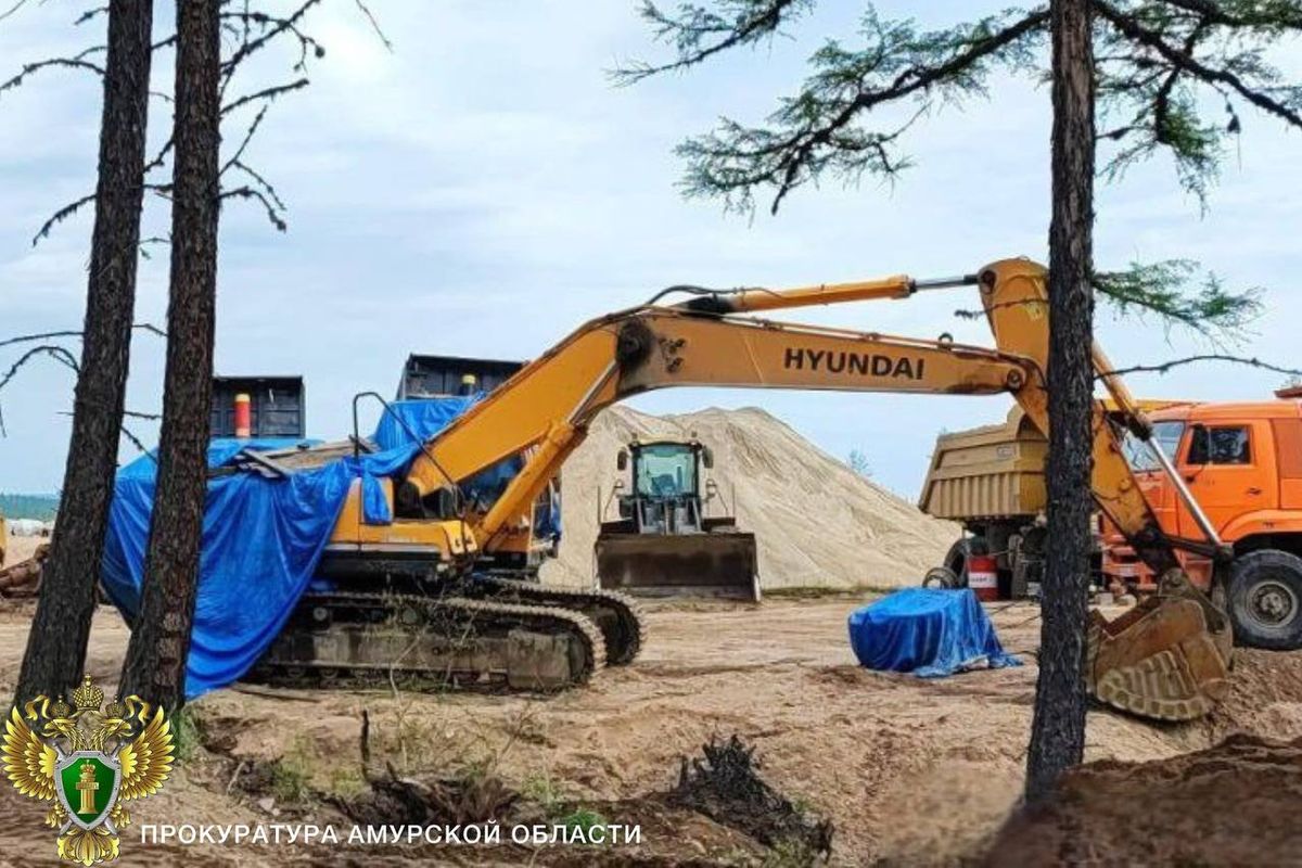 Фото: t.me/prokuratura28