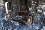 На пожаре в Чигирях погибла собака