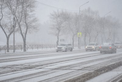 В последний день сентября на северо-западе Приамурья пройдет мокрый снег