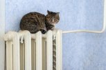 Мэр Благовещенска назвал дату начала отопительного сезона