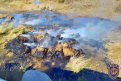 Фото: Амурский центр ГЗ и ПБ