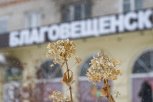 Второй месяц осени в Приамурье начнется с похолодания: прогноз погоды на 1 октября