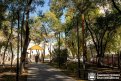 Фото: Администрация города Благовещенска