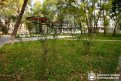 Фото: Администрация города Благовещенска