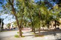 Фото: Администрация города Благовещенска