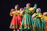 Пенсионеры Приамурья завершили фестиваль народного творчества аншлагом в областной филармонии
