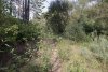 Неиспользование 4000 гектаров сельхозземель в Приамурье привело к расторжению трех договоров аренды
