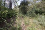 Неиспользование 4000 гектаров сельхозземель в Приамурье привело к расторжению трех договоров аренды