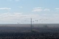 Фото: t.me/ohotaamur28