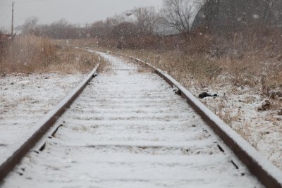 В центральных и южных районах выпадет снег: погода в Приамурье 11 октября