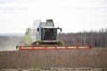 Вы добиваетесь рекордных показателей: Василий Орлов поздравил амурчан с Днем аграриев