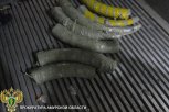 Иностранец купил на торговой базе в Благовещенске бивни мамонта и хотел увезти их в Китай