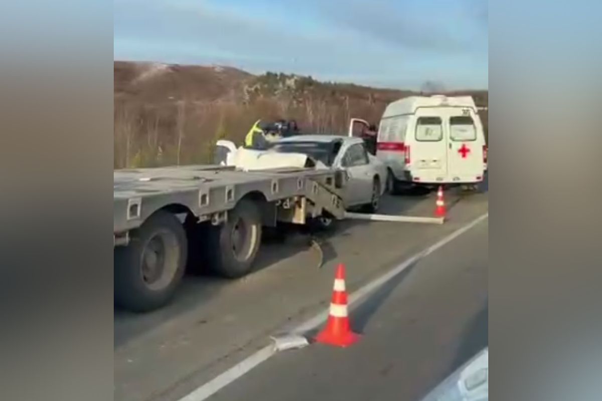 Фото: Скриншот видео t.me/svb_news