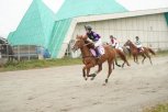 Лошади из Приамурья и Хабаровского края посоревновались в скорости и ловкости препятствий