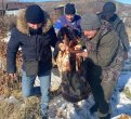 Фото: Управление по охране животного мира по Амурской области