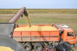 Идем к миллиону: амурские аграрии убрали больше половины площадей сои