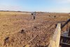 На особо охраняемых территориях Приамурья в этом году высадили маньчжурский орех, маакию и липу