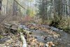 Валившего лес в Зейском округе рабочего оштрафовали на 80 тысяч рублей за сломанную ногу коллеги