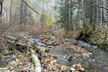 Фото: Евгений Белолипецкий