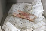 Иностранец пытался передать взятку таможенникам через камеру хранения в благовещенском супермаркете