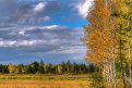 Осенние краски Тындинского округа. Автор: Мария Бондаренко