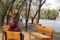 Фото: amurobl.ru