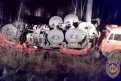 Фото: Амурский центр ГЗ и ПБ