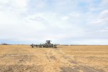 В Приамурье на десять лет продлили мораторий на приватизацию сельхозземель
