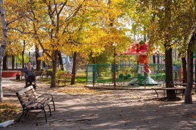 Амурские синоптики пообещали в пятницу идеальный день для осенней прогулки
