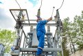 Фото: Алексей Сухушин