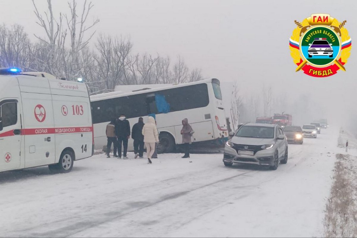 Фото: Госавтоинспекция Амурской области