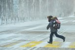 Неизвестный автомобилист в Благовещенске сбил 12-летнего ребенка на пешеходном переходе и уехал