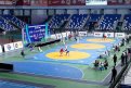 Фото: sambo.sport