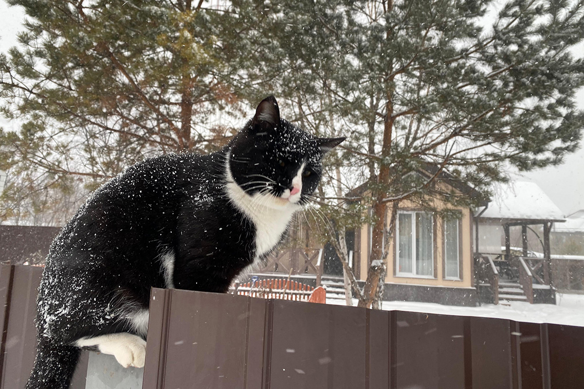 Фото: Елена Павлова