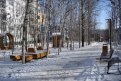 Фото: t.me/gulyaev_tynda