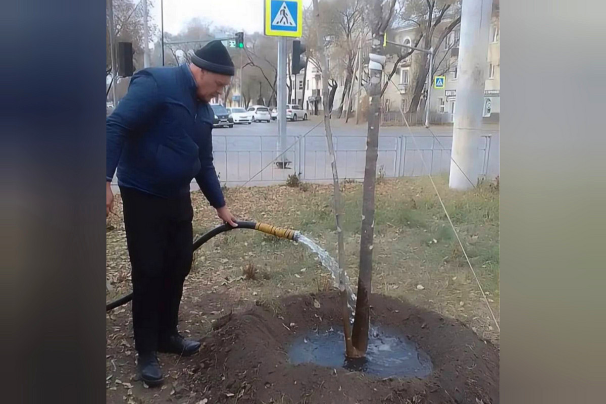 Фото: Администрация Благовещенска