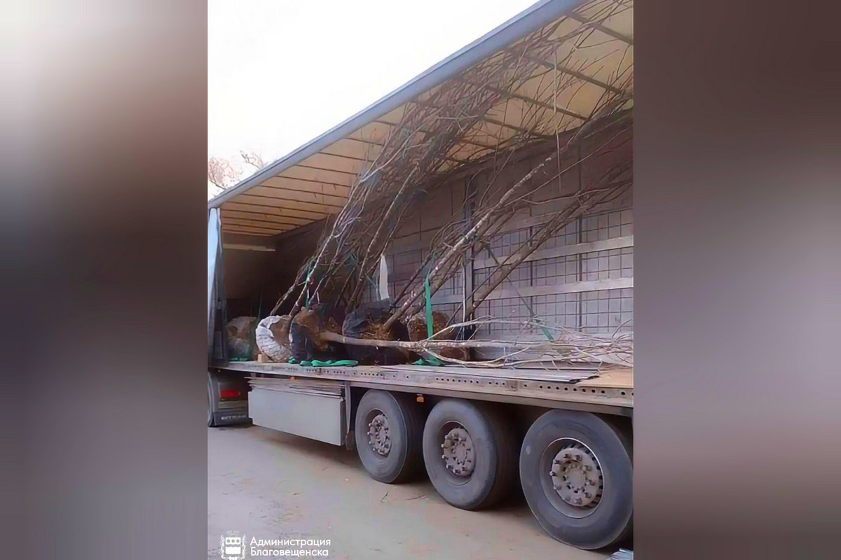 Фото: Администрация Благовещенска