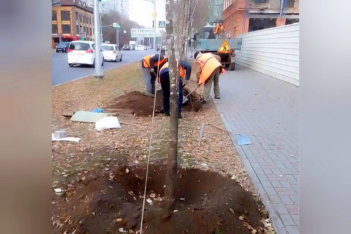 Фото: Администрация Благовещенска