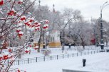Благовещенск накрыло снегом: фоторепортаж с заснеженных улиц