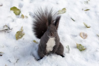 До -14 градусов: синоптики предупредили жителей Амурской области о похолодании