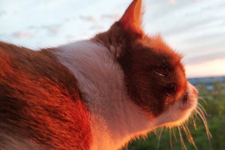 Фото из личного архива Юлии