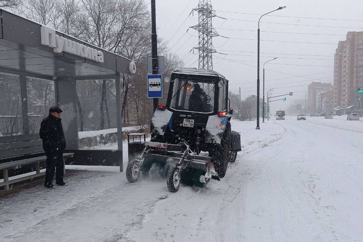 Фото: Администрация Благовещенска