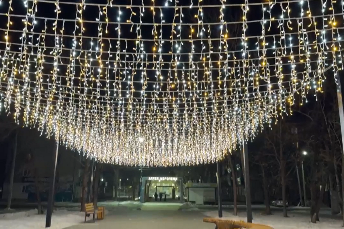 Фото: amurobl.ru